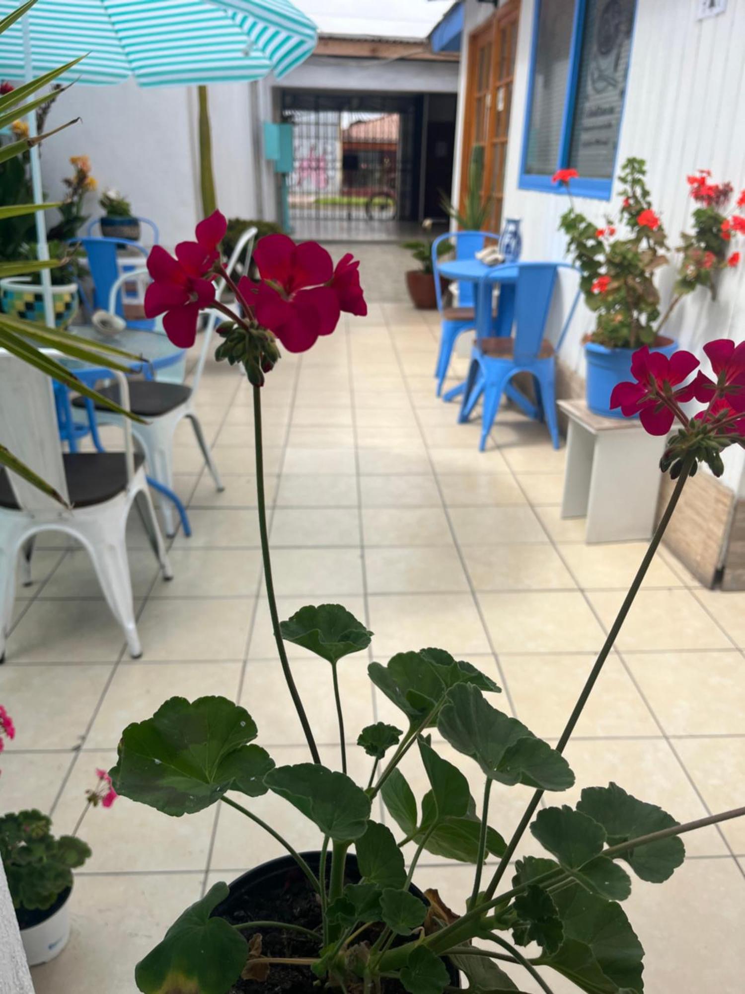 Hostal Avenue La Serena Exterior foto